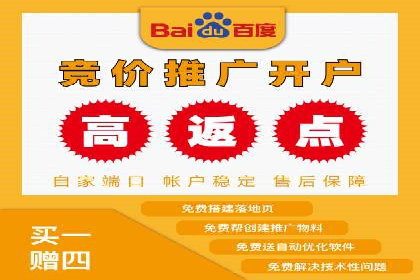 竞价排名在电商行业的实战案例